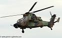 tigre_4244