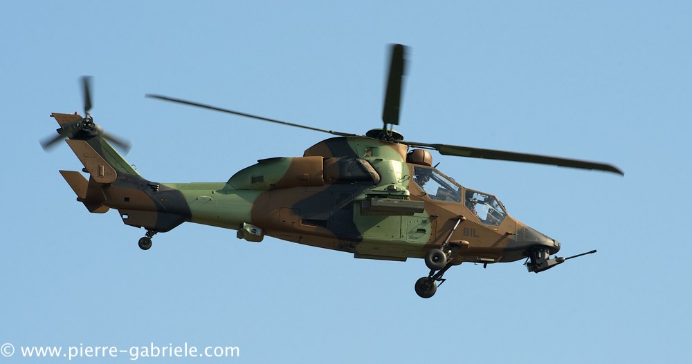 ec665-tigre_3843.jpg