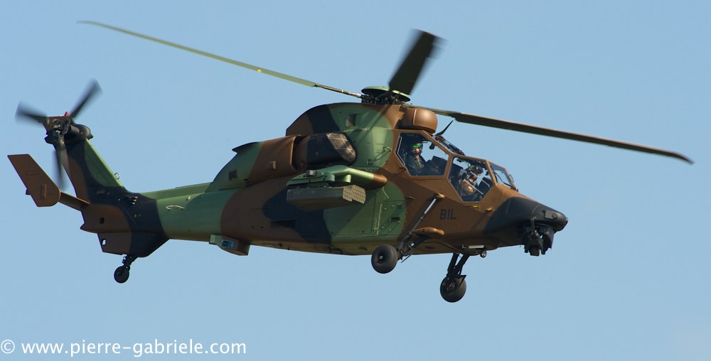 ec665-tigre_3854.jpg