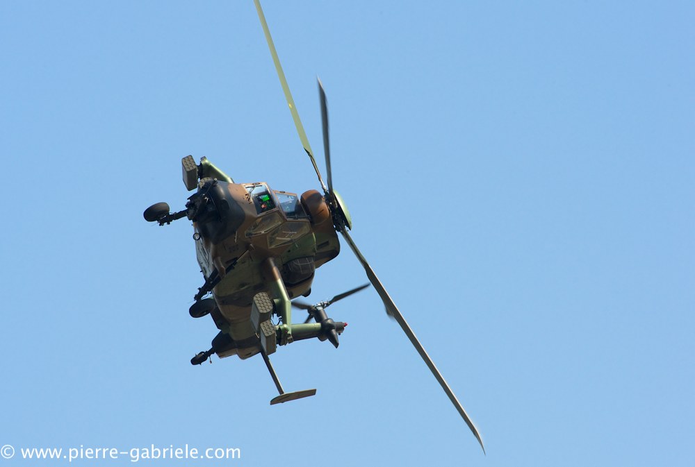 ec665-tigre_3867.jpg