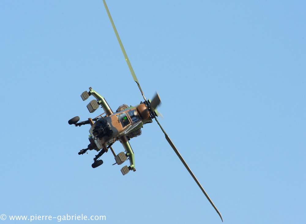 ec665-tigre_3874.jpg