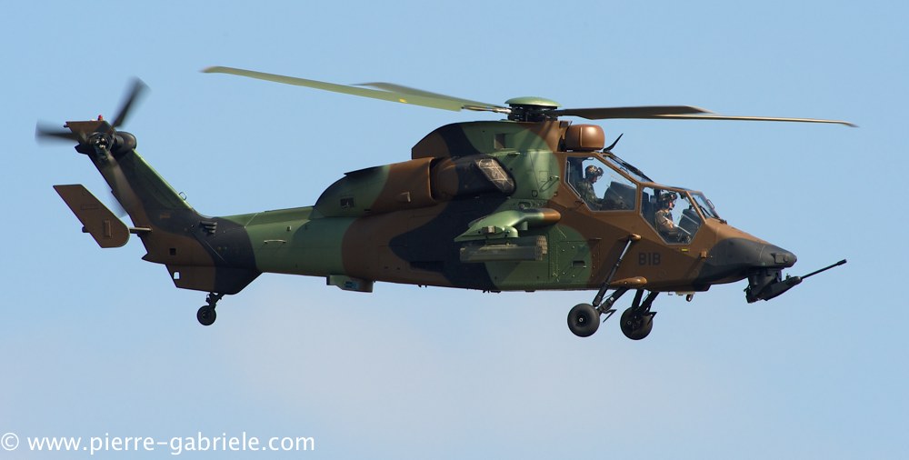 ec665-tigre_3885.jpg