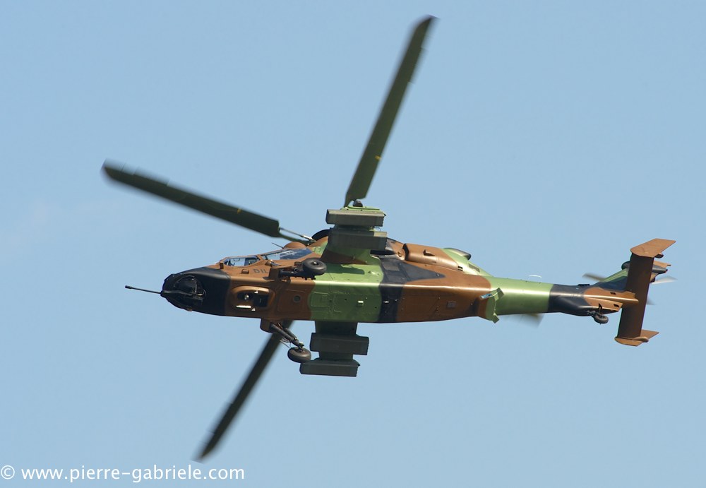 ec665-tigre_3899.jpg