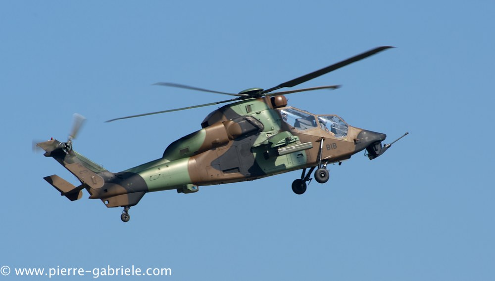 ec665-tigre_4046.jpg