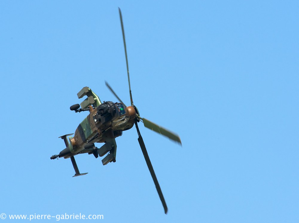 ec665-tigre_4065.jpg