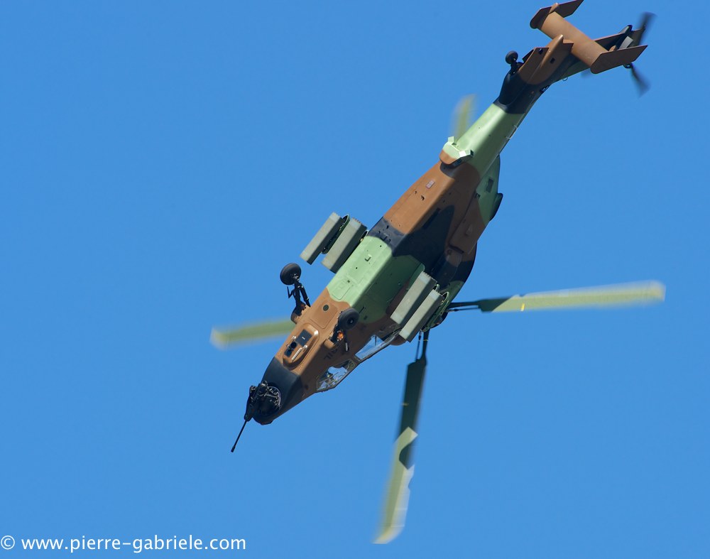 ec665-tigre_4067.jpg