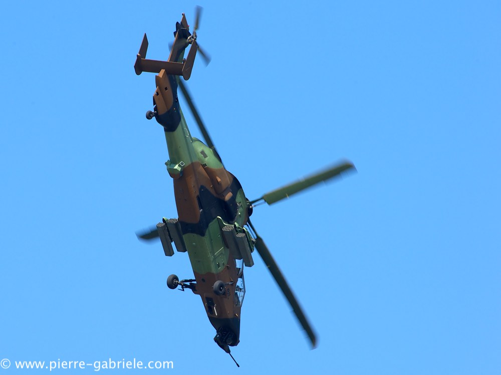 ec665-tigre_4068.jpg