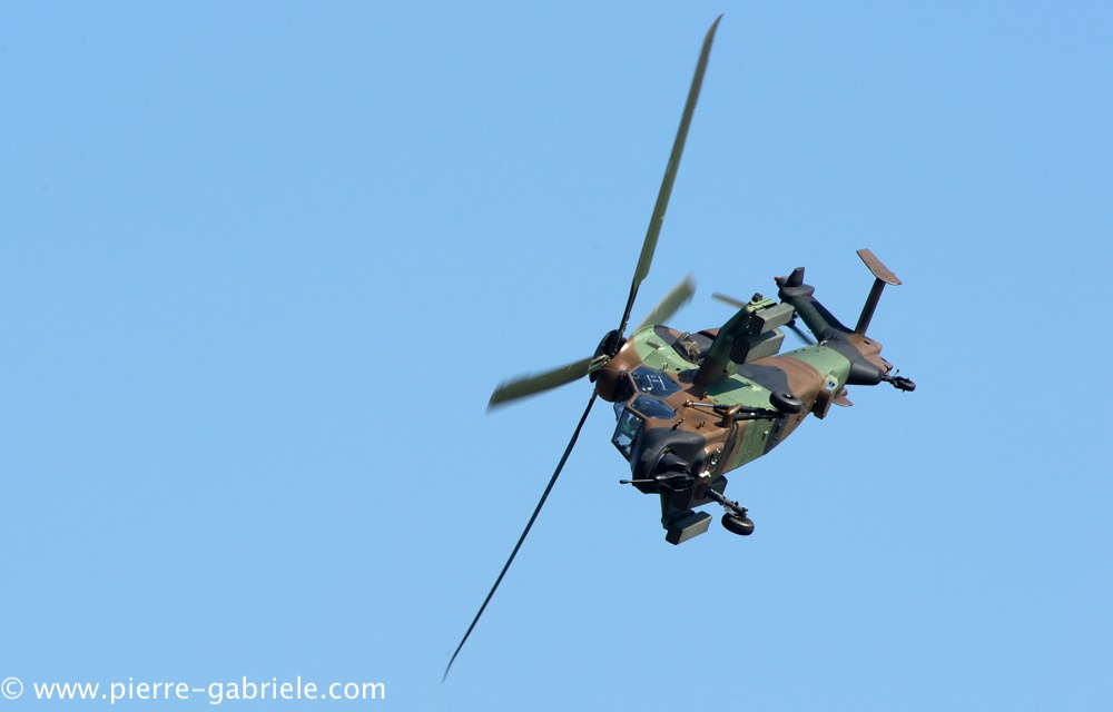 ec665-tigre_4074.jpg