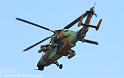 ec665-tigre_3886