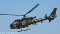 interception-gazelle_3996