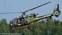 interception-gazelle_4007