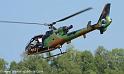 interception-gazelle_4009