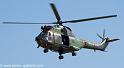 sa330-puma_3951