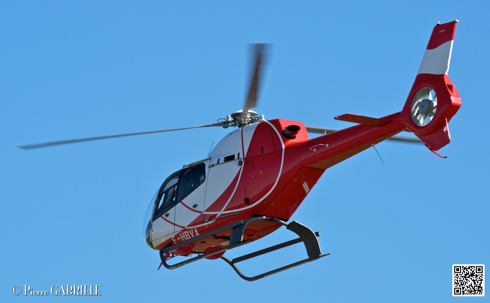 colibri_7408.jpg