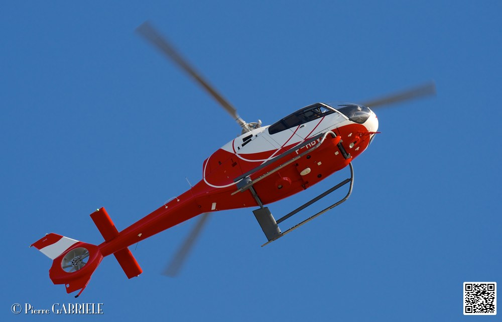 colibri_7423.jpg