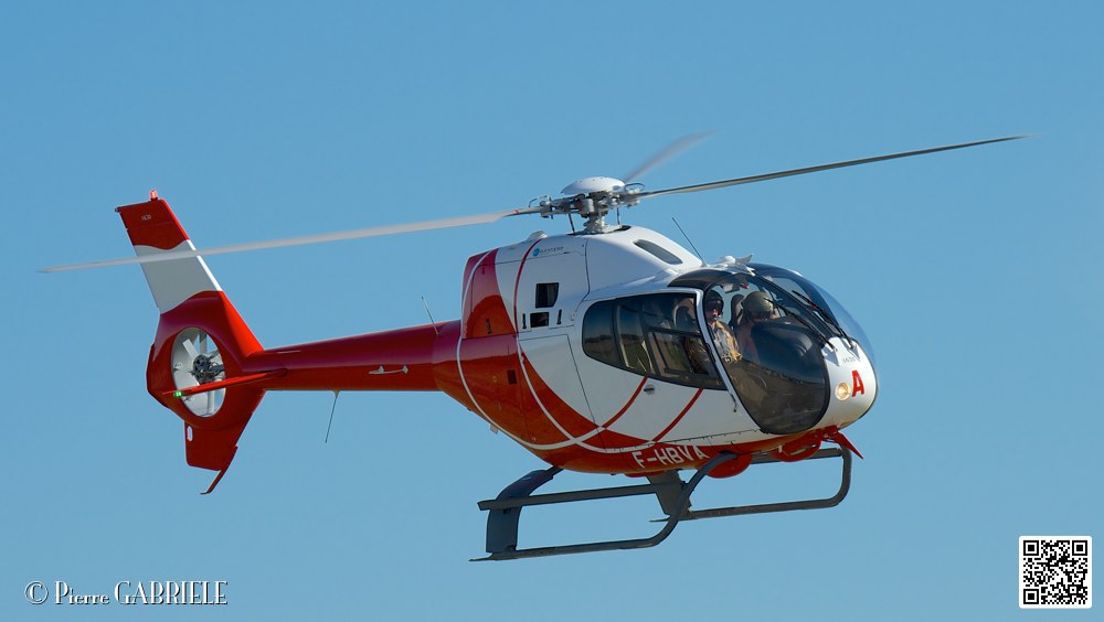 colibri_7428.jpg