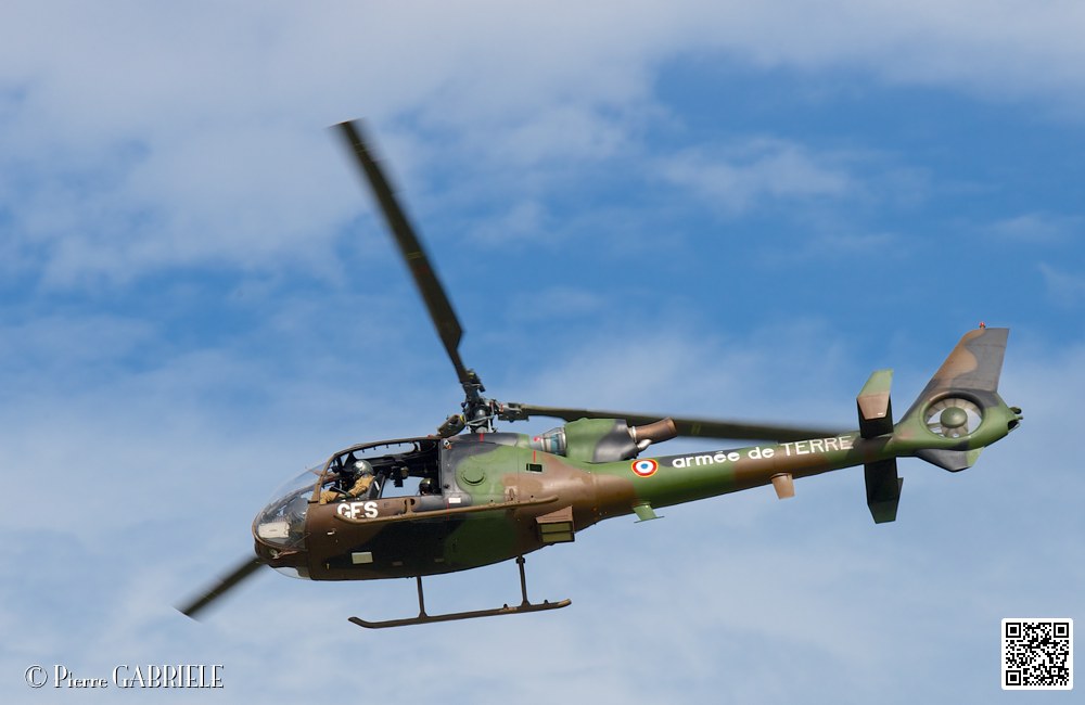 gazelle_7561.jpg
