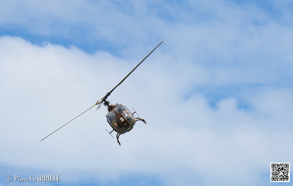 gazelle_7562.jpg
