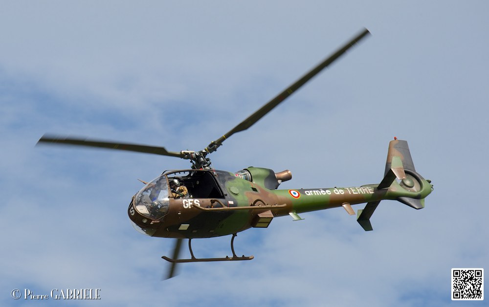 gazelle_7563.jpg