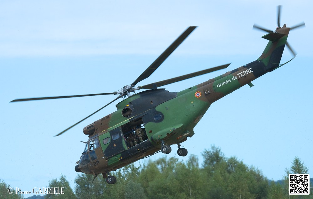 puma-gazelle-tigre_7637.jpg