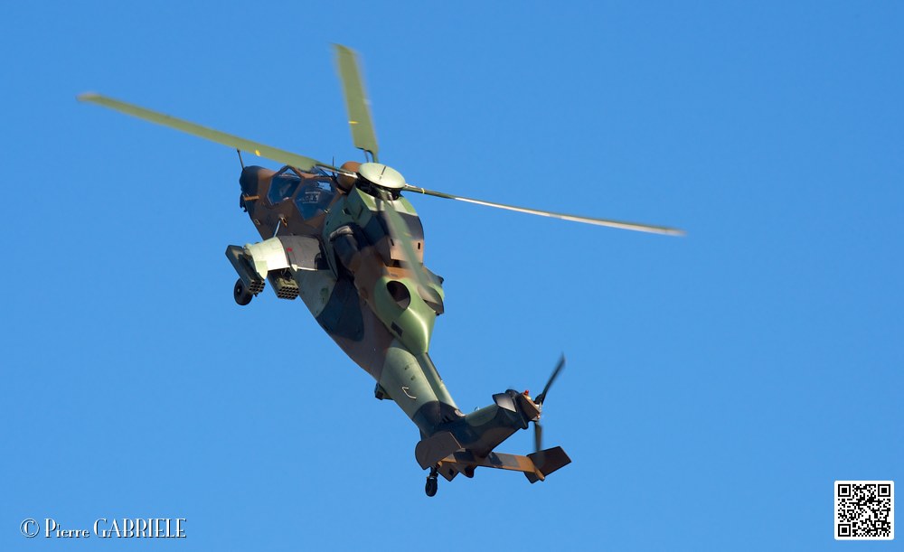 tigre_7447.jpg