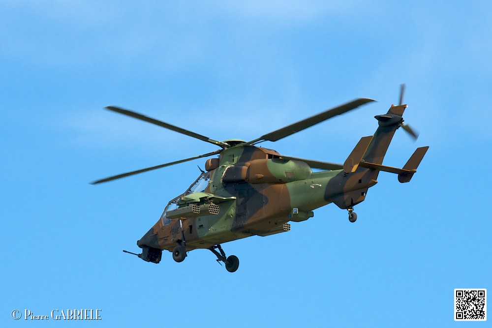 tigre_7546.jpg