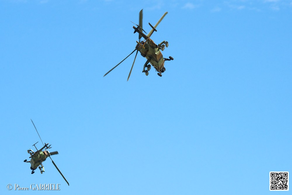 tigre_7548.jpg