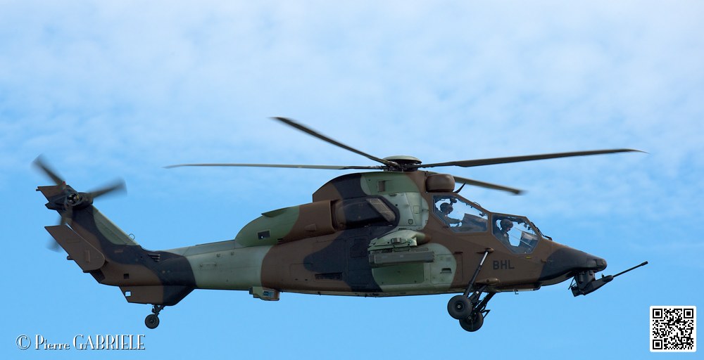 tigre_7559.jpg
