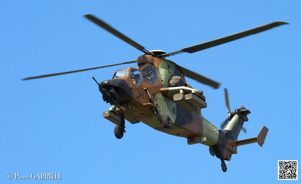 tigre_7650.jpg