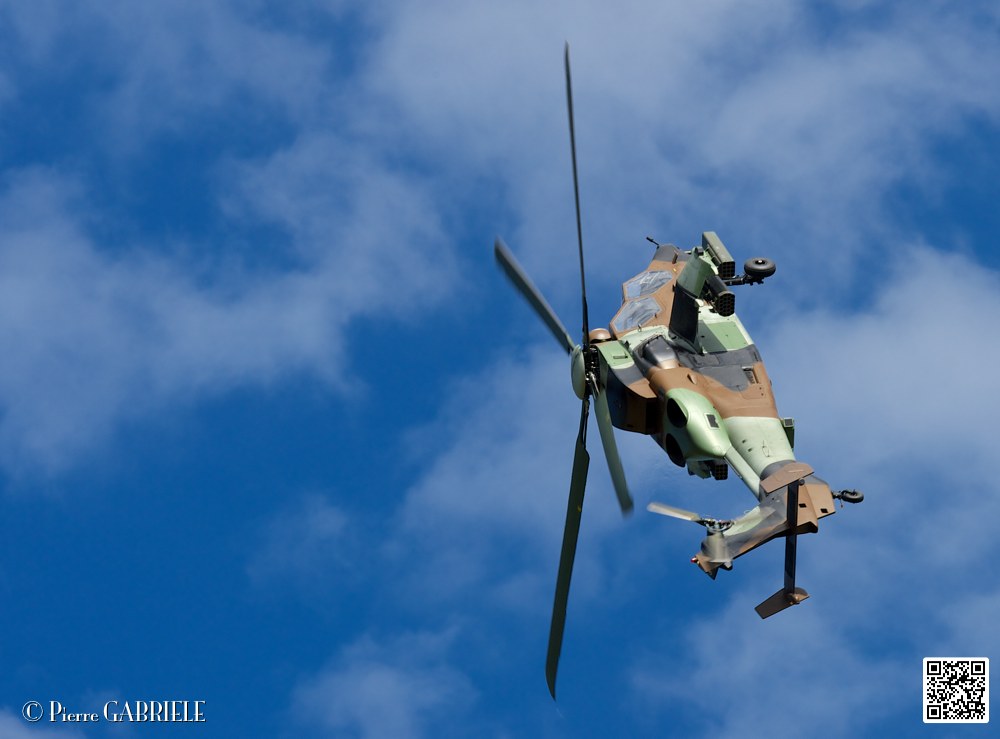 tigre_7658.jpg