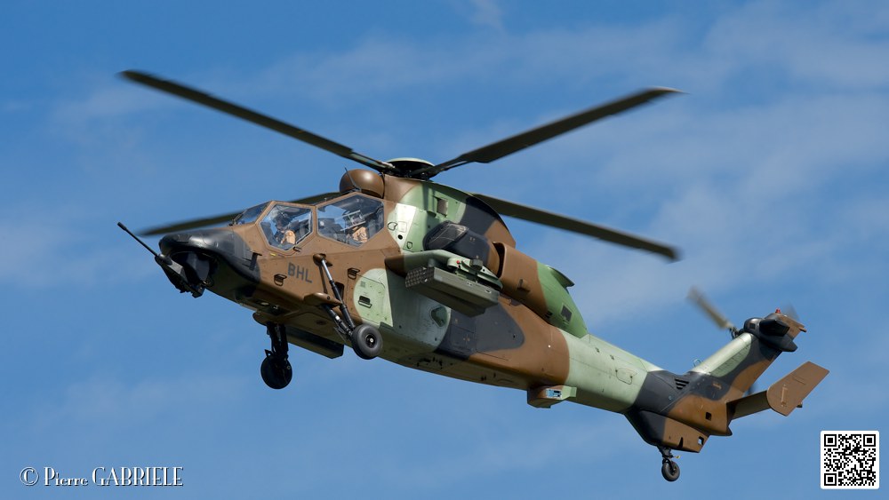 tigre_7664.jpg