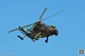 tigre_7463