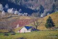 benou-a74_01534