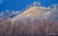 benou-a74_01535