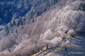 benou-a74_01542