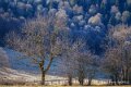 benou-a74_01544