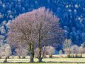 benou-a74_01546-Panorama
