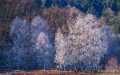 benou-a74_01554