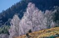 benou-a74_01560