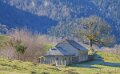 benou-a74_01575