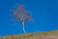 benou-a74_02197