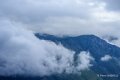 benou-a74_07425