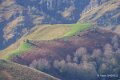 pays-basque-a74_08629
