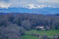 pietat-a74_02014