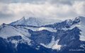 pietat-a74_02021