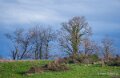saint-faust-a74_01992
