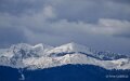 saint-faust-a74_02010