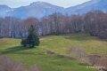 vallee-aspe-a74_01623