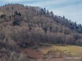 vallee-aspe-gh7_3367
