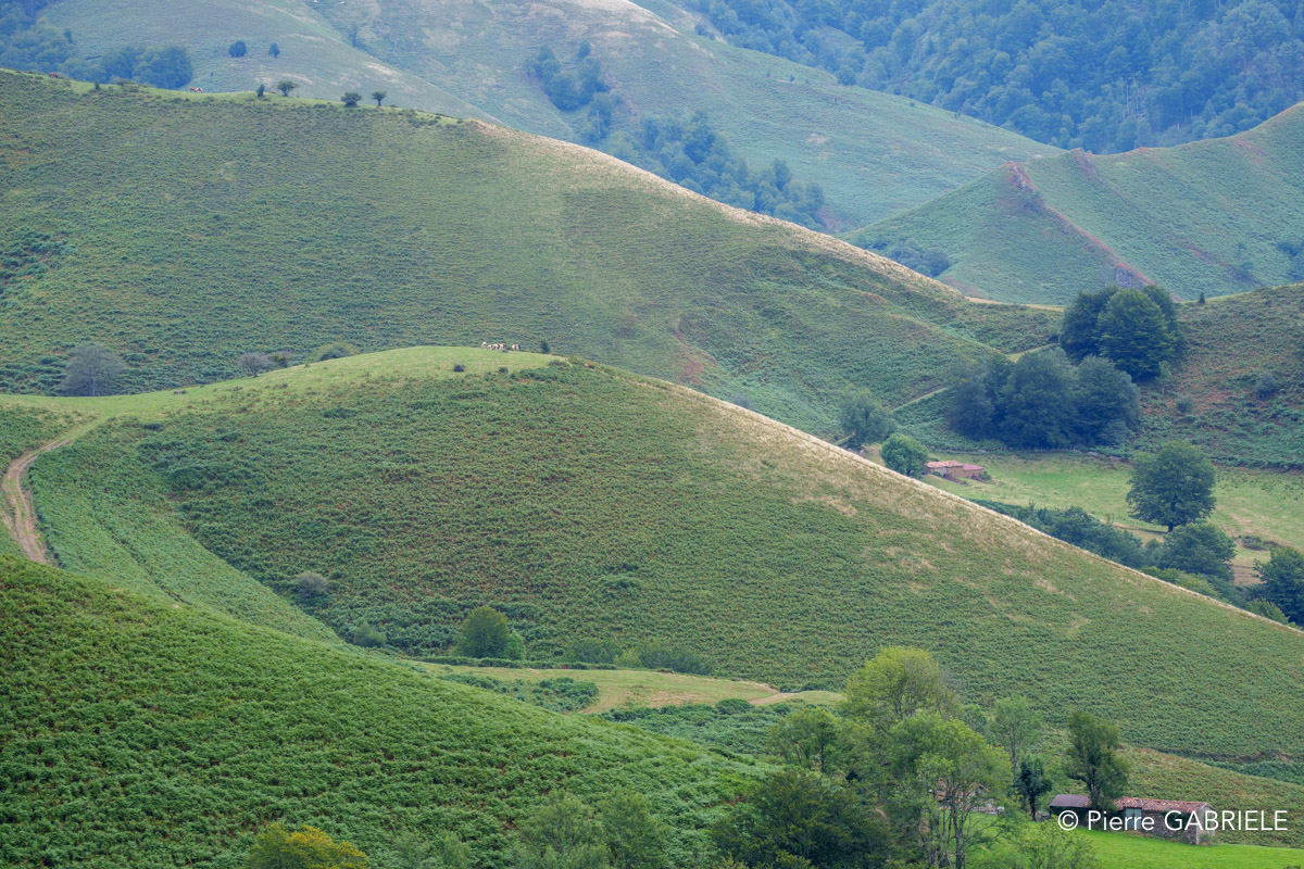 pays-basque-a74n_05762.jpg
